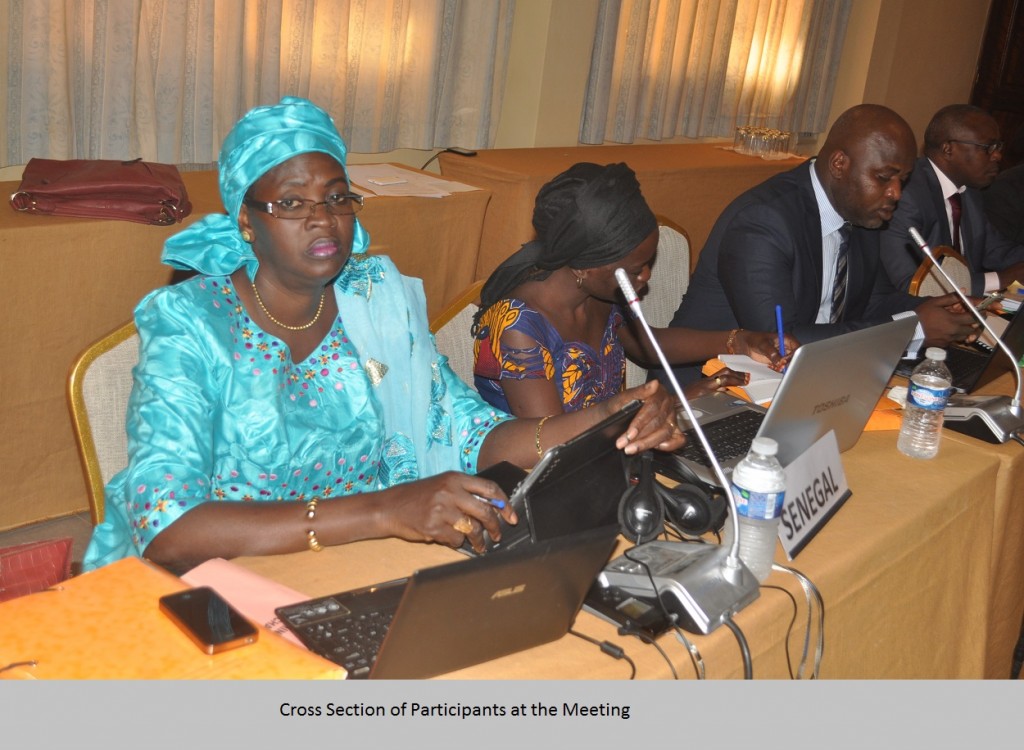 Cross Section of Participants at the Meeting