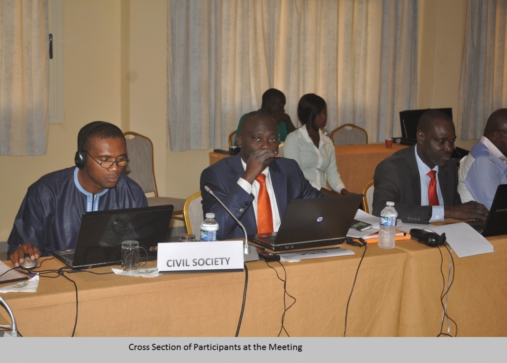 Cross Section of Participants at the Meeting2