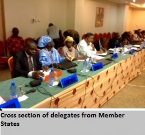 Cross section of delegates from Member States